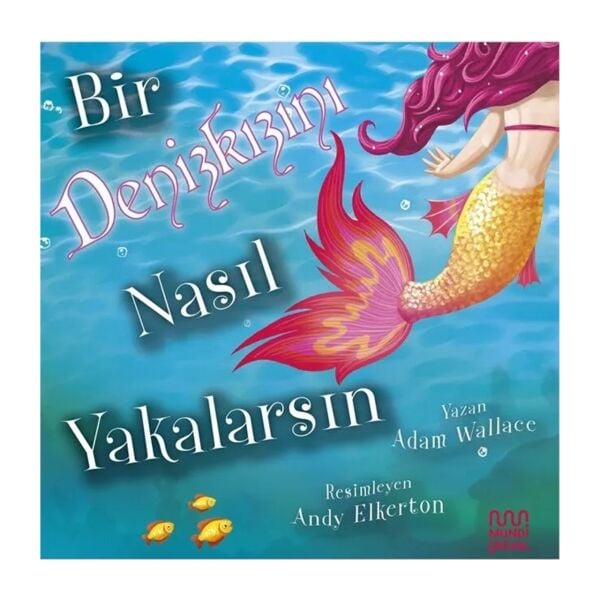 Bir Deniz Kızını Nasıl Yakalarsın