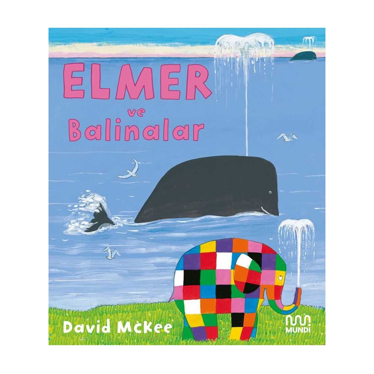 Elmer ve Balinalar