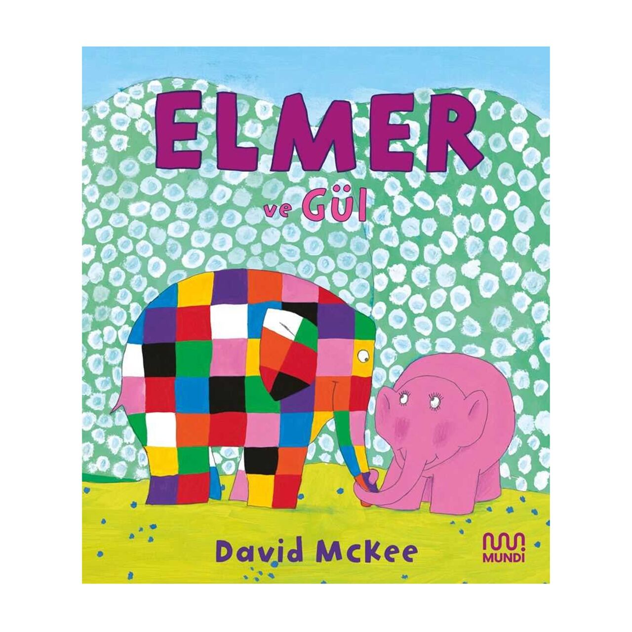 Elmer ve Gül